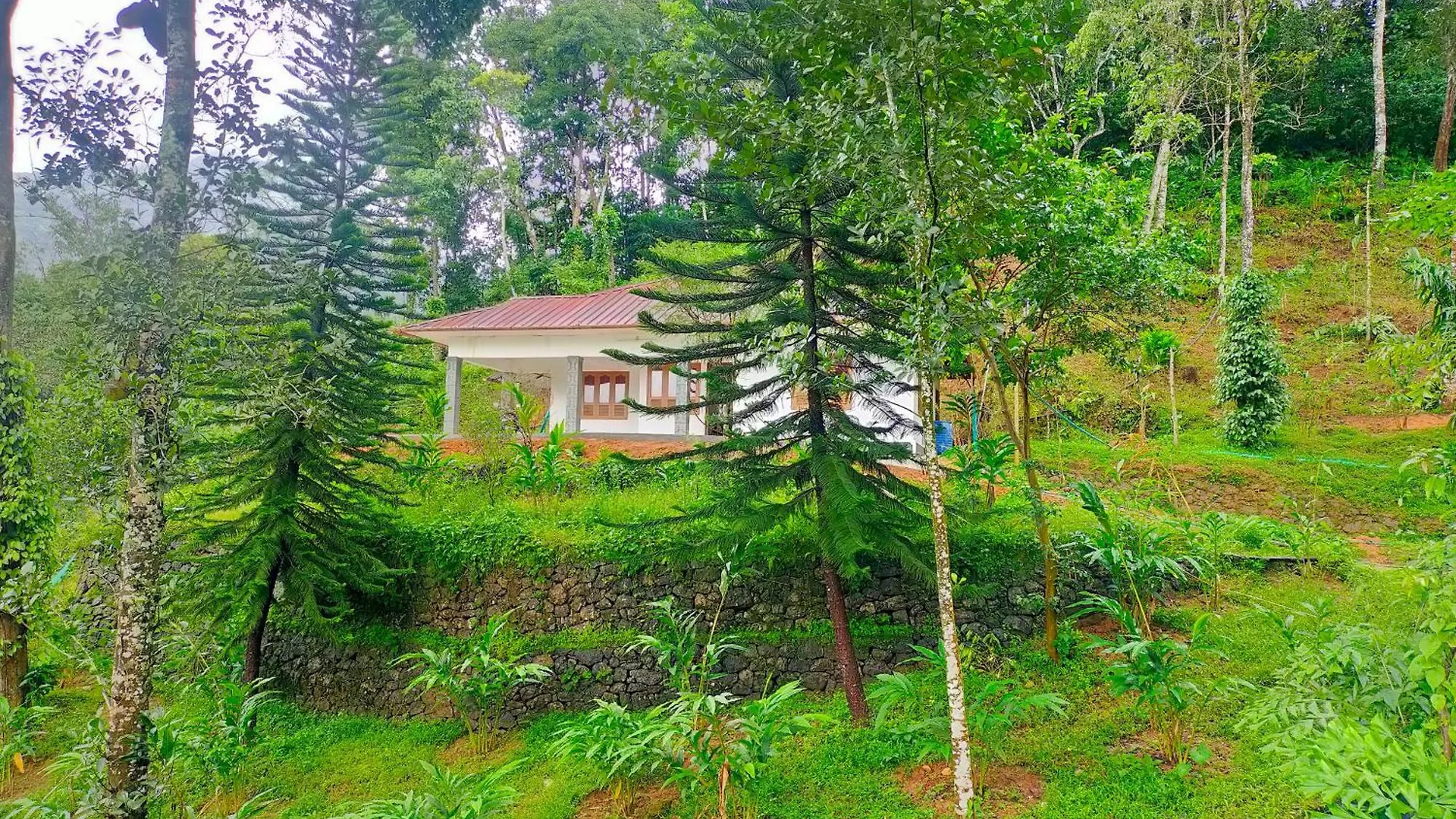 Anivilla Holiday Home Kunjithanny Anachal