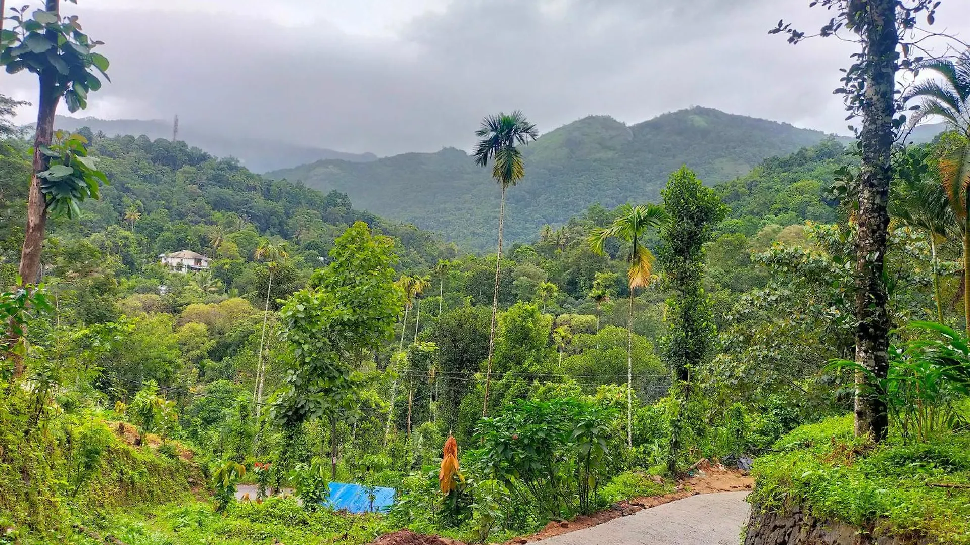 Anivilla Holiday Home Kunjithanny Anachal