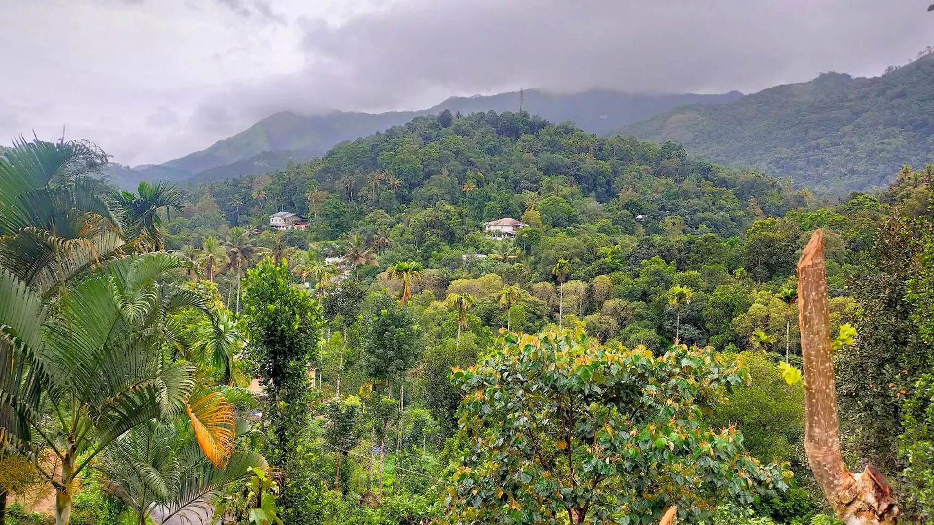 Anivilla Holiday Home Kunjithanny Anachal India