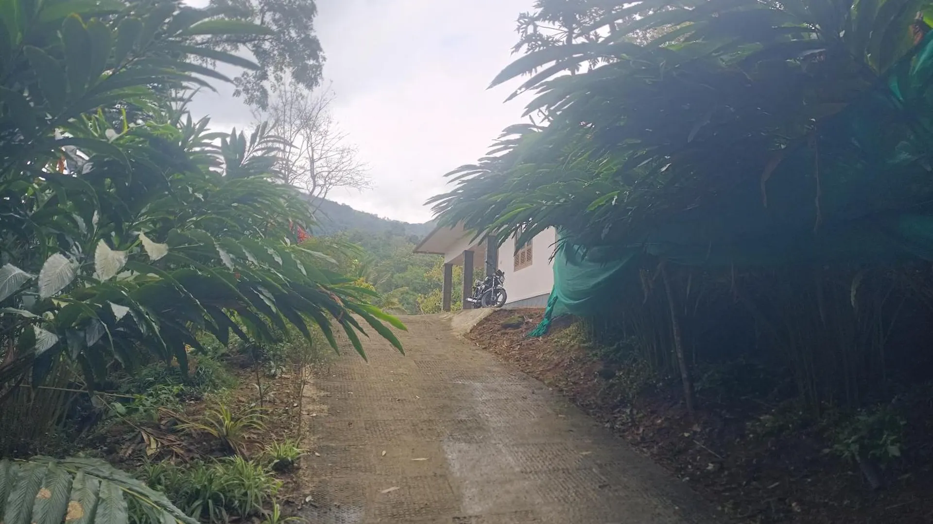 Anivilla Holiday Home Kunjithanny Anachal