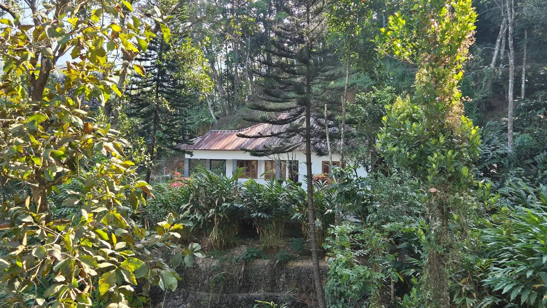 Anivilla Holiday Home Kunjithanny Anachal