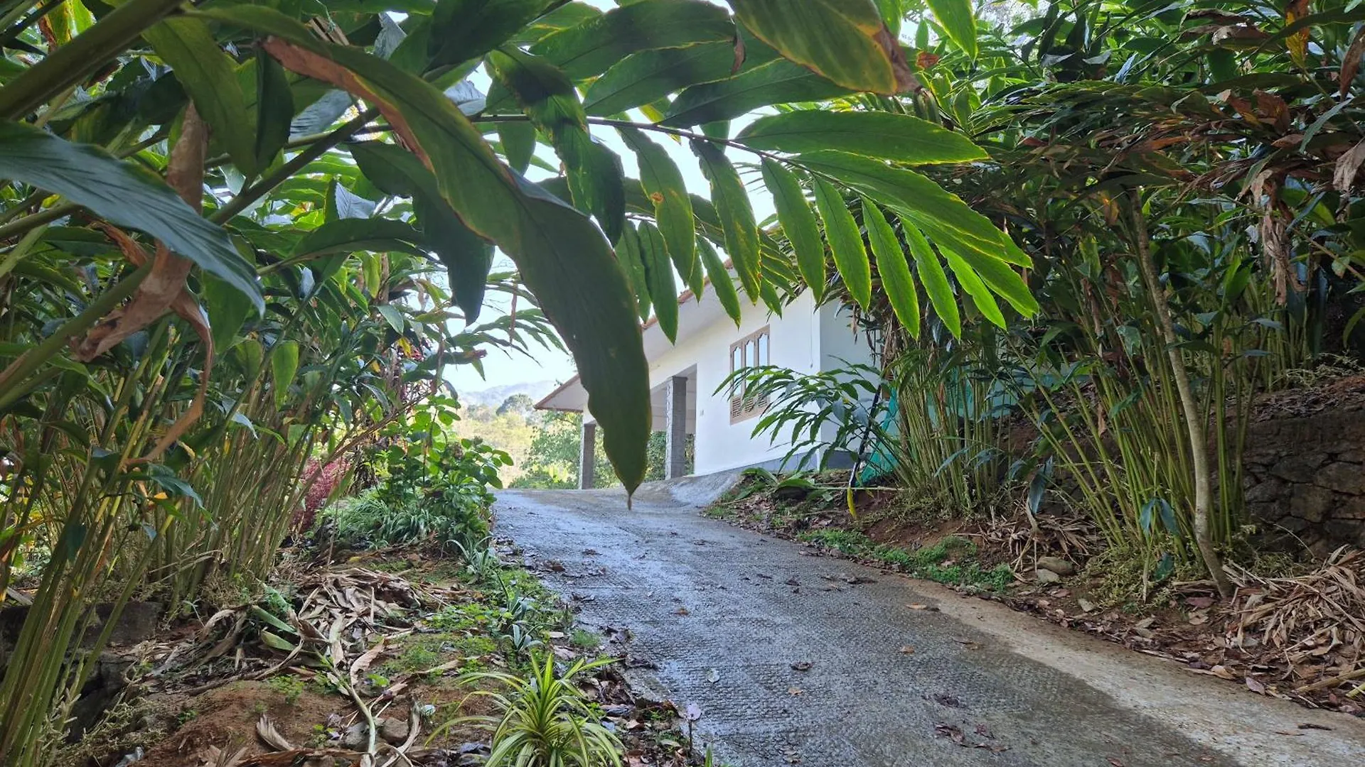 Anivilla Holiday Home Kunjithanny Anachal 0*,  India