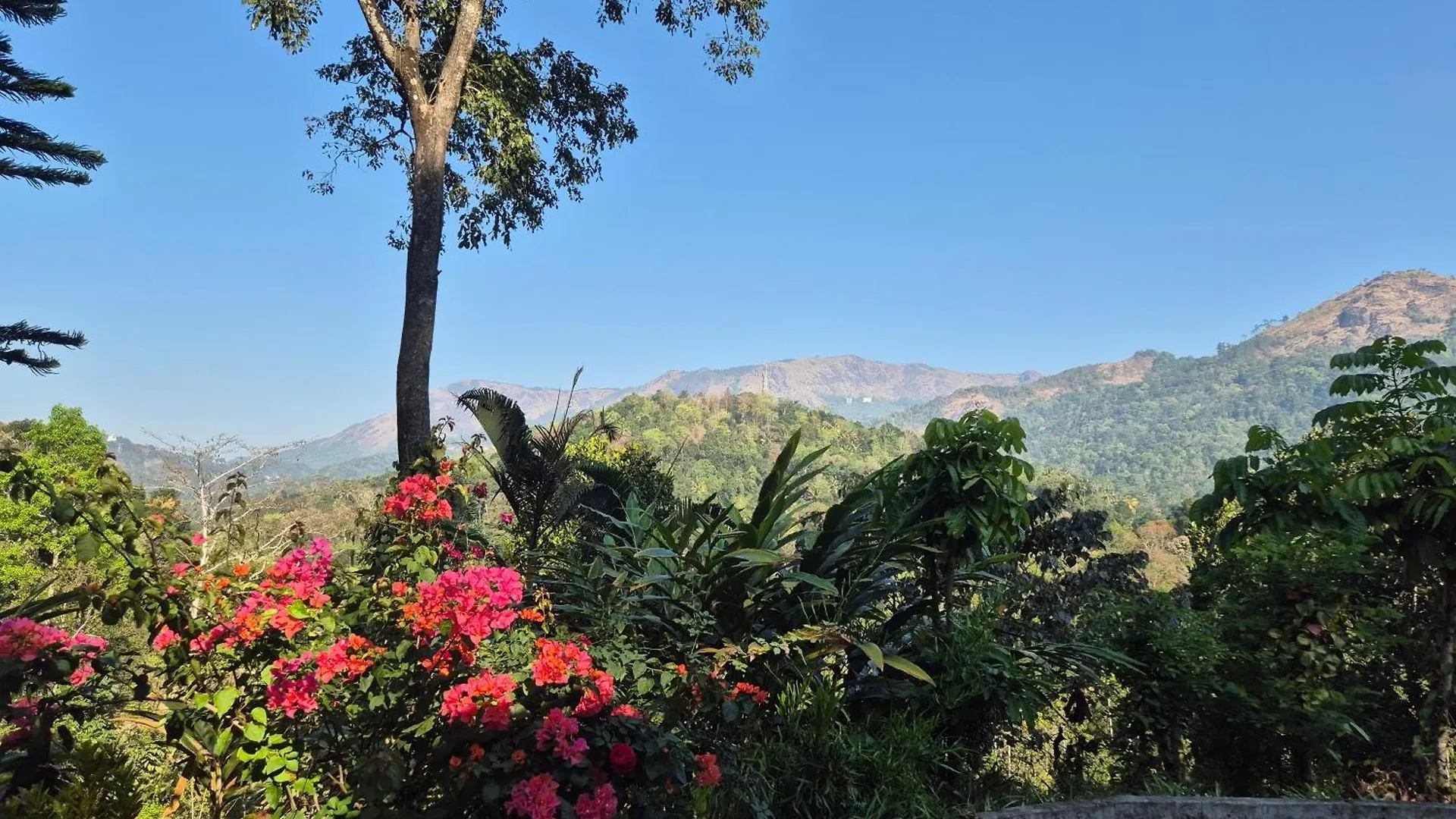 Anivilla Holiday Home Kunjithanny Anachal